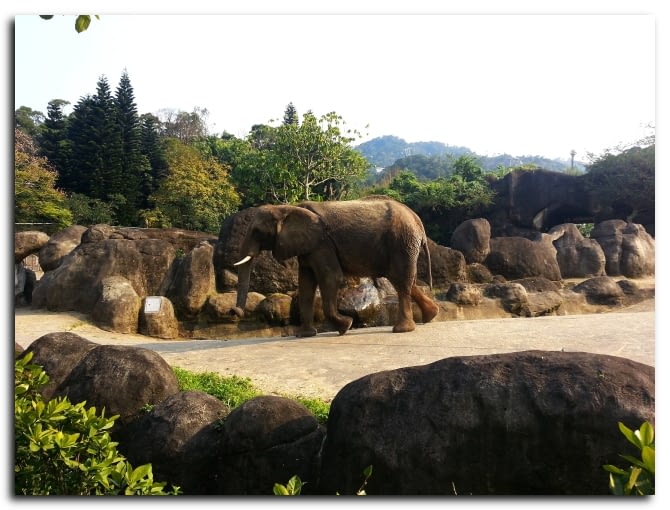 Taipei Zoo Taiwan 7 10 Travelogue Of A Daydreamer